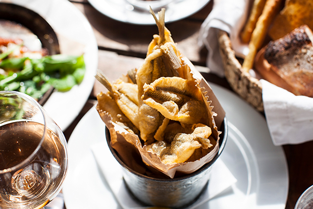 Parador-LATAM-2019-DISH2