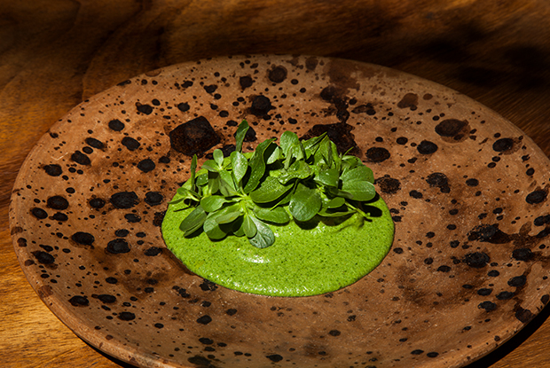 ROSETTA-LATAM-2019-DISH2