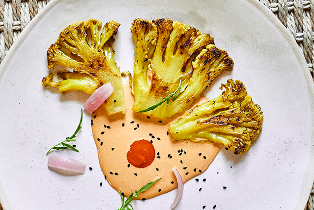 Rafael-LATAM-2019-DISH1
