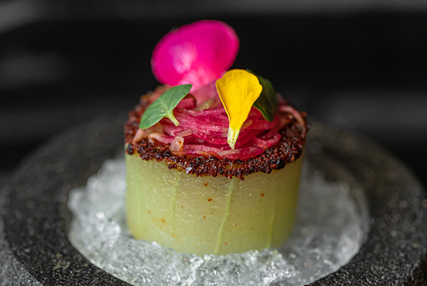SUD777-LATAM-2019-DISH1