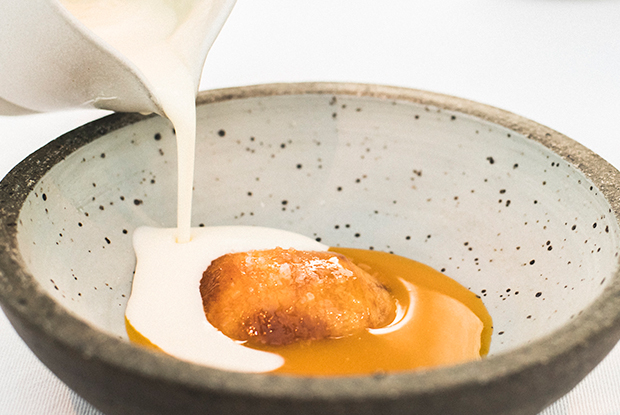 TEGUI-LATAM-2019-DISH1