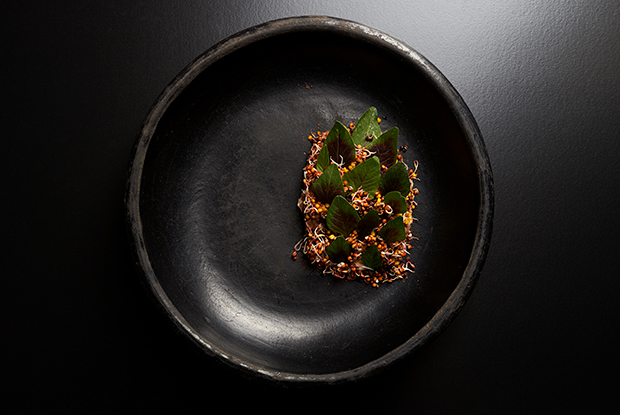 baqueano-LATAM-2019-DISH2