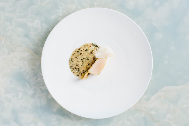 Belon-Asia19-Blog-Scallop-6