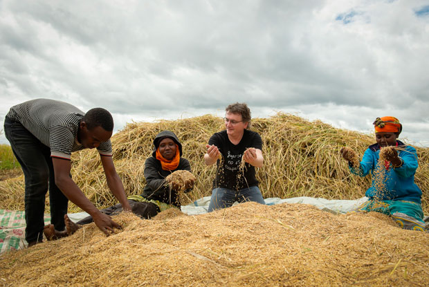 CFC-Tanzania-Blog19-Rice-62