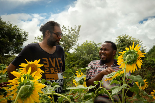 CFC-Tanzania-Blog19-Sunflow