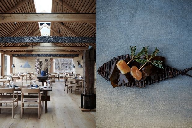 NewEn-Blog19-Noma