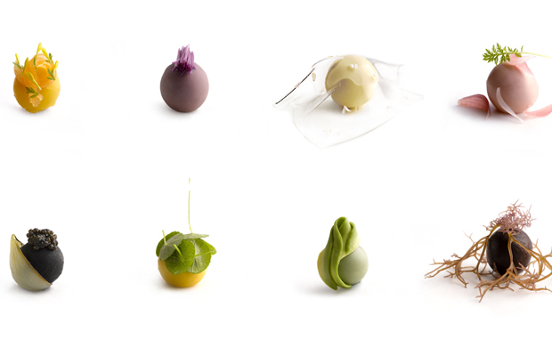 Andre_Asia2016_Dish1
