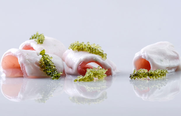 Gallery_Vask_Dish1