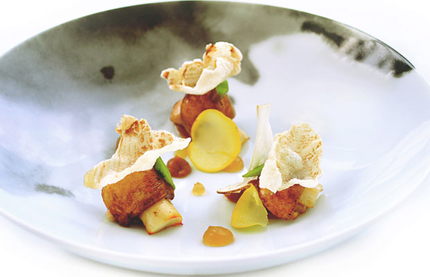 LeMout_Asia2016_dish1-1