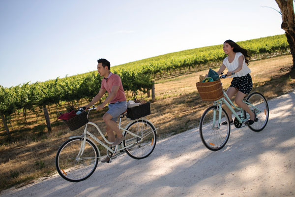 Jacobs-Creek-Barossa-1