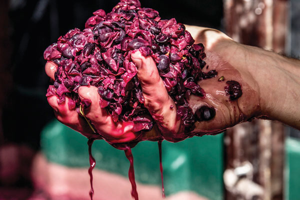 Wine-Aus-Fermentation