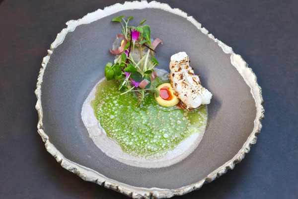 langoustine-clw-600x400