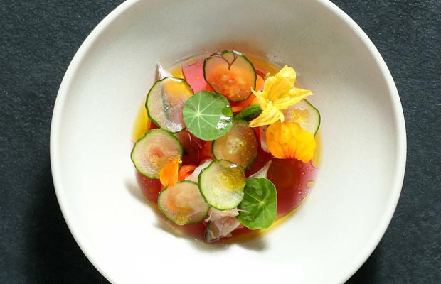 Raw-DCI-2015-dish-1