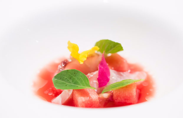 LEDU-DISH1-2016