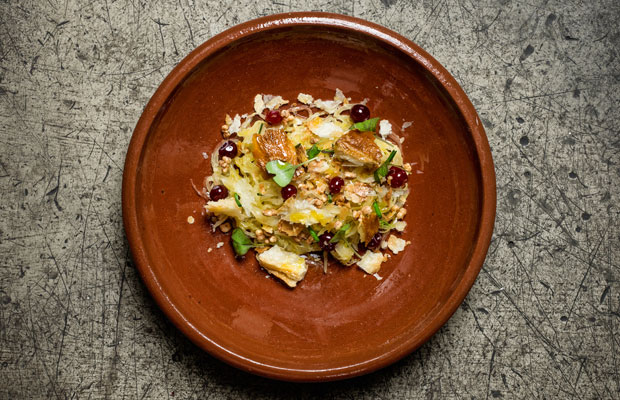 Spis-DCI-2015-620x400-dish1