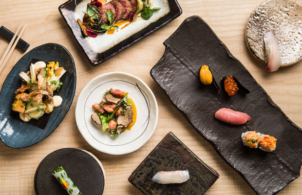 Shuko-dish1-DCI-2017
