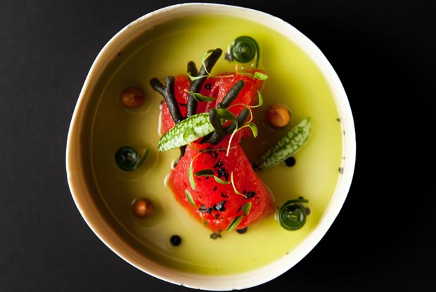 DOM_watermelon-cucumber-codium
