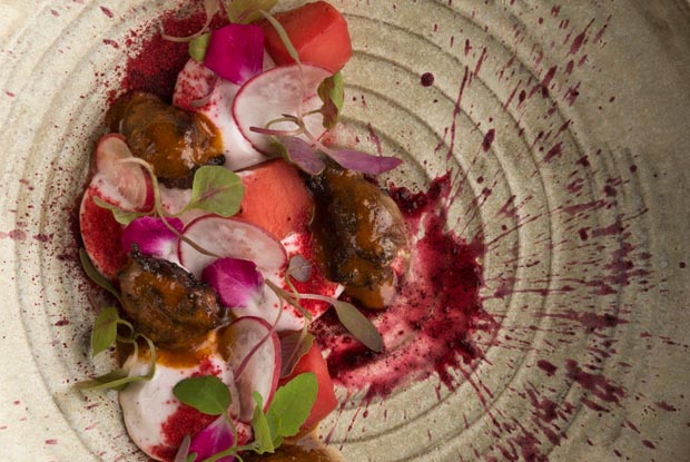 ElBaqueano_dish3_Latam_2015