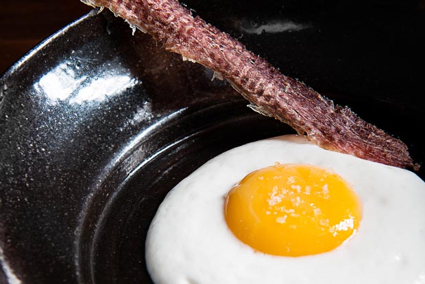 Lasai_dish1_Latam_2015