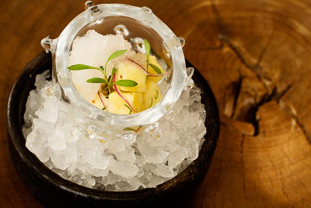 Mani_cashew-ceviche