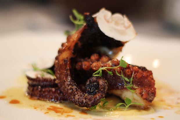 MaximoBistrot_dish1_Latam_2015