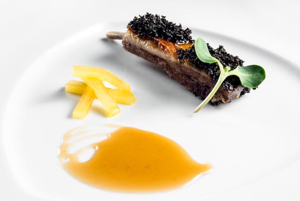 Olympe_dish1_Latam_2015