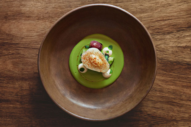 Pujol_Dish4_latam_2015