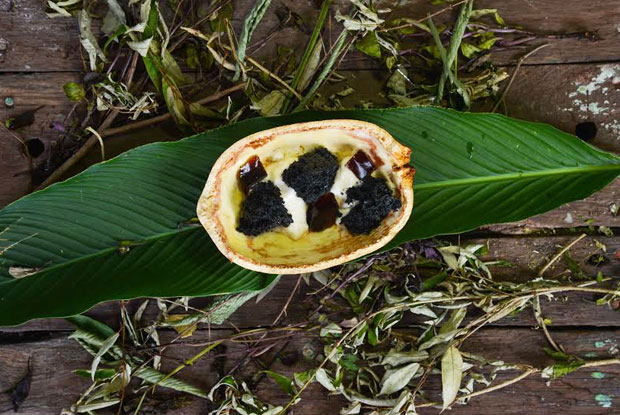 Remanso-do-Bosque_pave-de-cupuacu