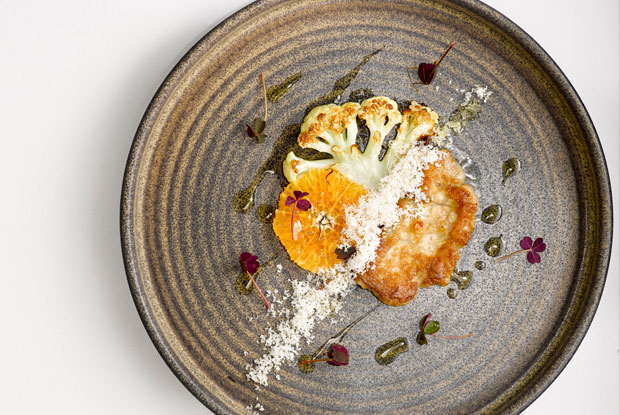 Tequi_Dish2_latam_2015