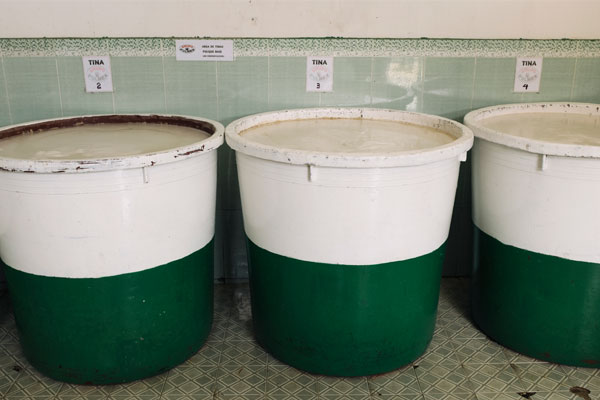 Pulque600x400-4