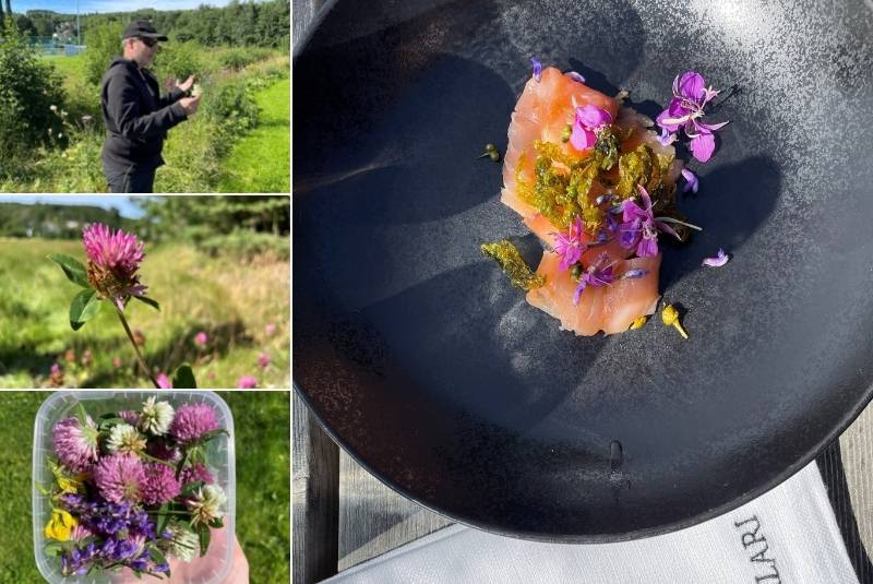 Trondheim-Trondelag-Foraging