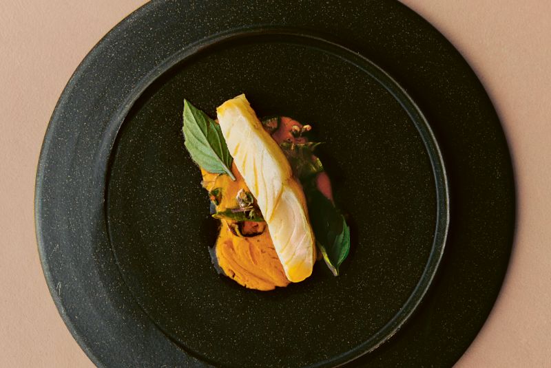 ikoyi-newsletter-fish-incopy