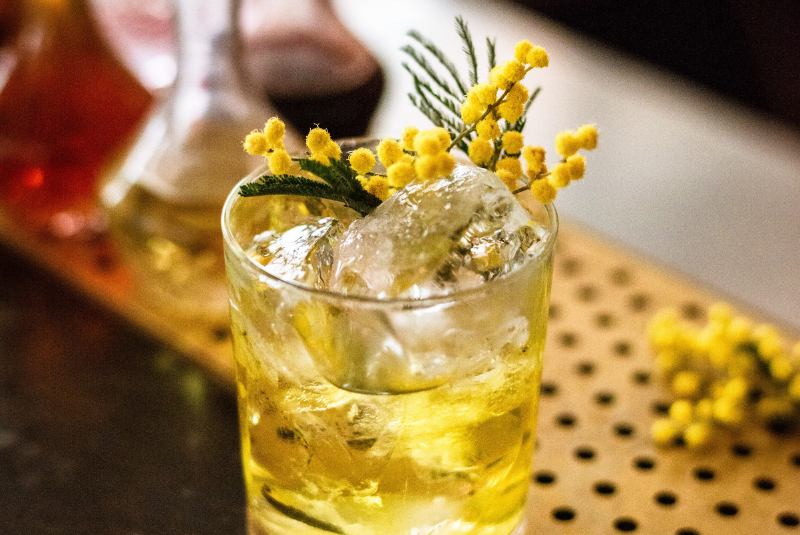 2023-New-Openings-Gimlet-cred
