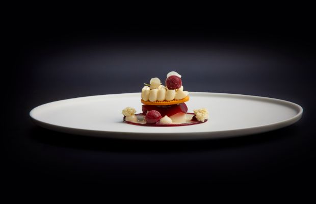 A50BR21-Suhring-Dish2