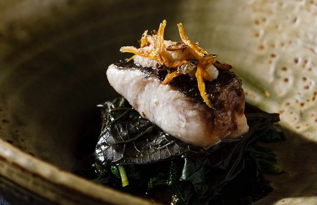 A50BR21-ToyoEatery-Dish1