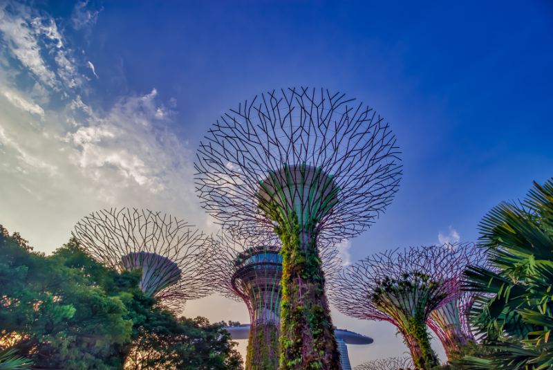 A50BR23-Date-Annc-Singapore