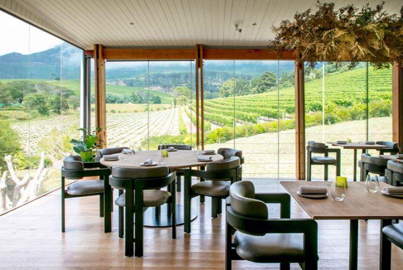 Beyond_Interior_vineyard-restaurants
