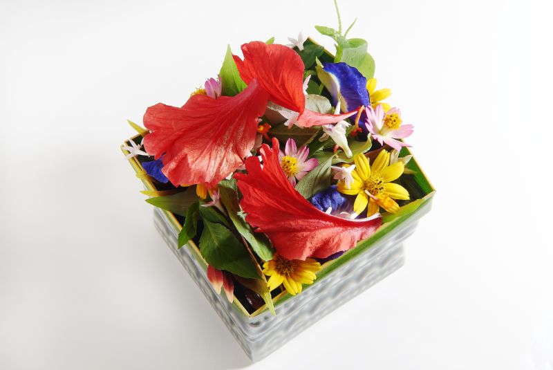 Locavore-A50BR2020-Pic1