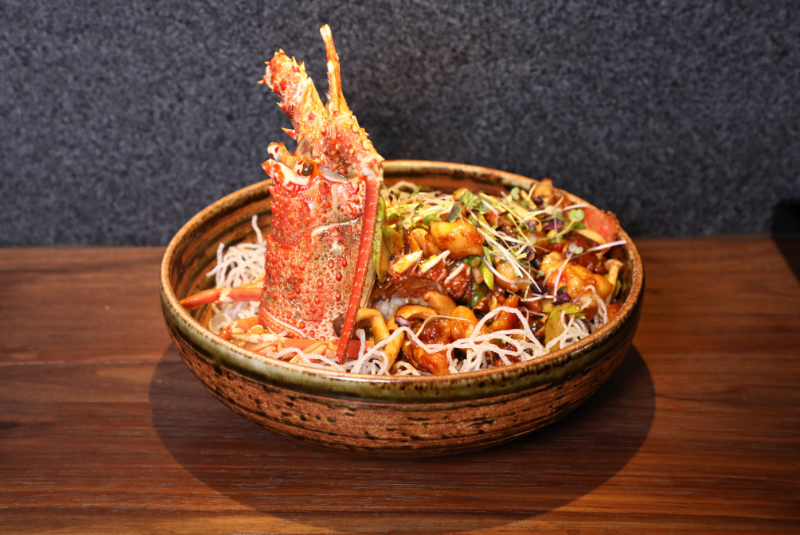 Mirai-dish