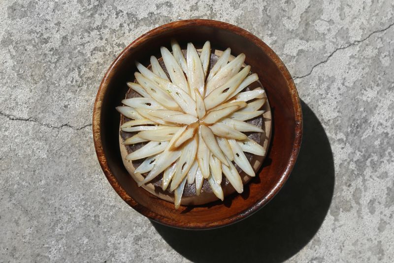 Rubra-Soto-Innes-Dish