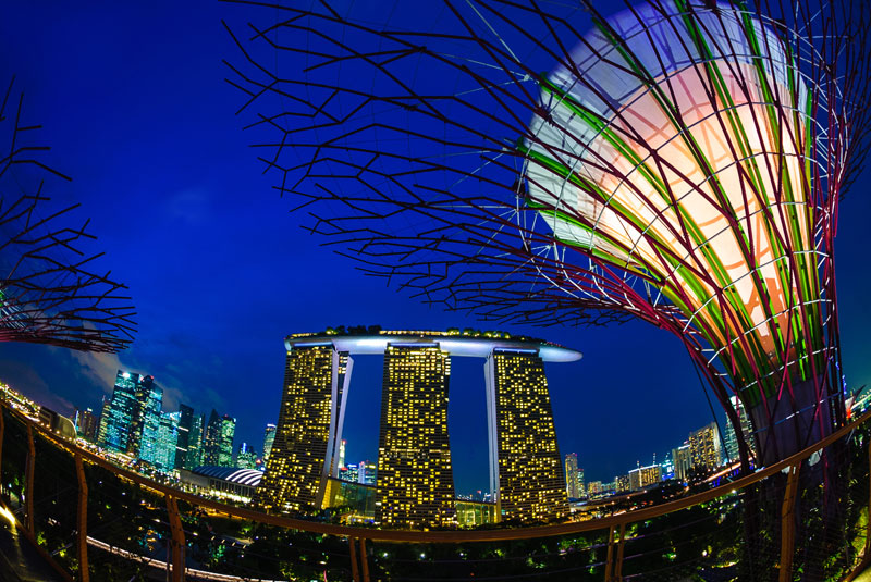 Stories20-AuctAnn-Singapore