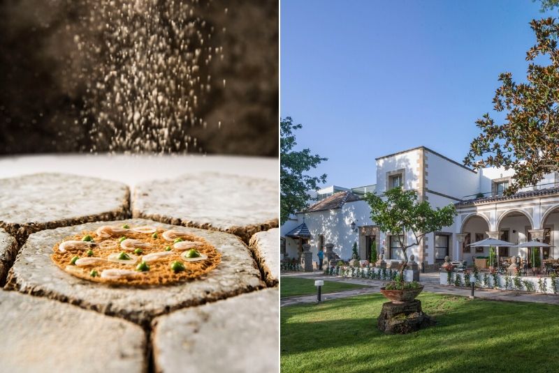 Stories20-AuctHoli-Aponiente