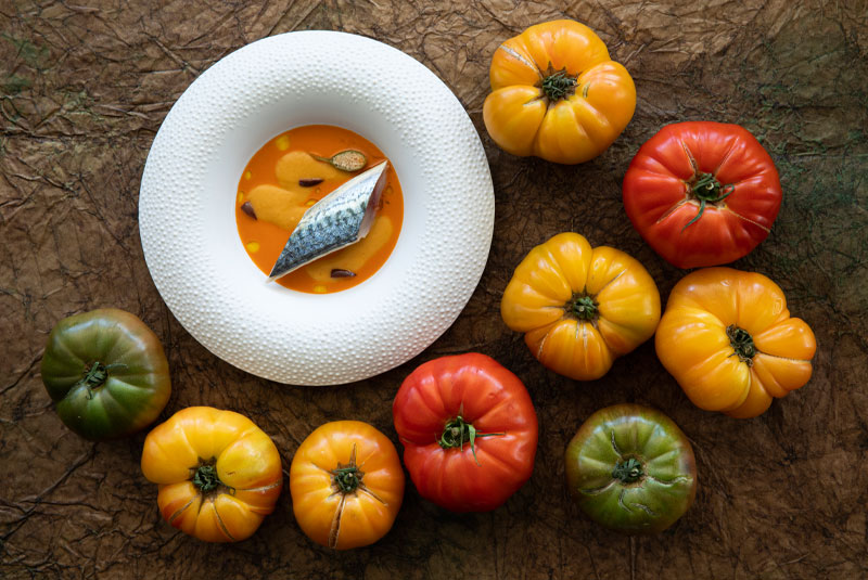 Stories20-Coro-Miraz-Tomato