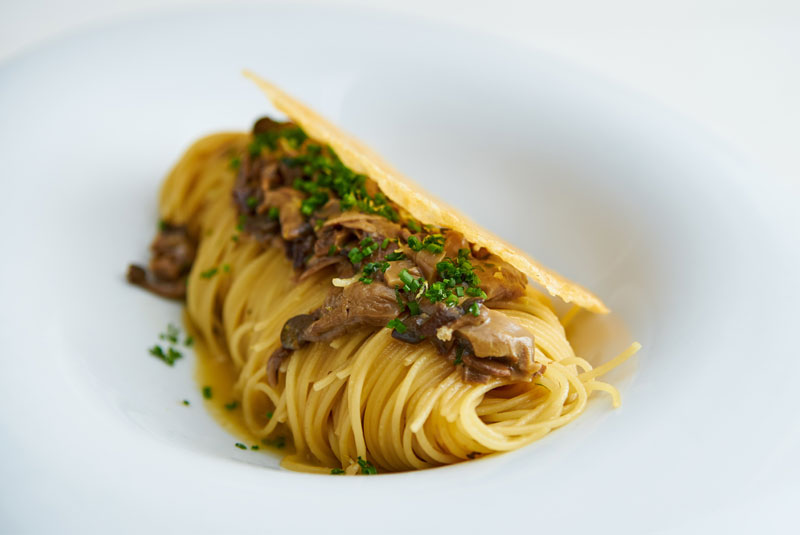 Stories20-Creative-Helena-Capellini-800