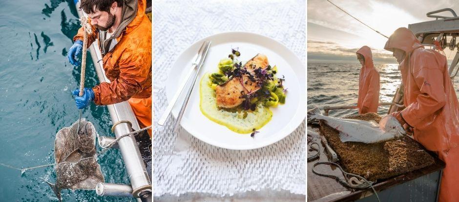 Halibut – a deep dive into catching, cooking and understanding this gargantuan king of the sea