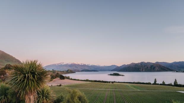 Rippon