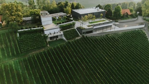 Masi Cellars