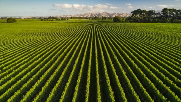 Wairau River Wines